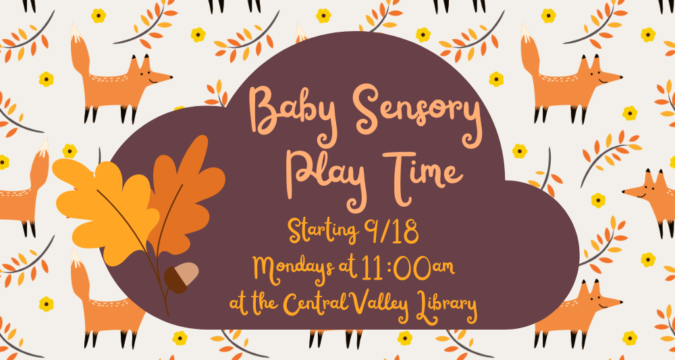 Baby Sensory Play Time